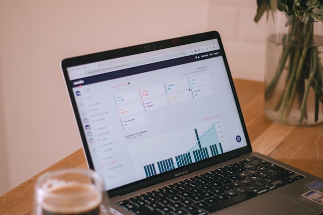 Aplicatie gestiune web
